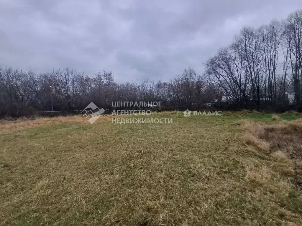 Участок в Рязанская область, Рязанский муниципальный округ, с. ... - Фото 2