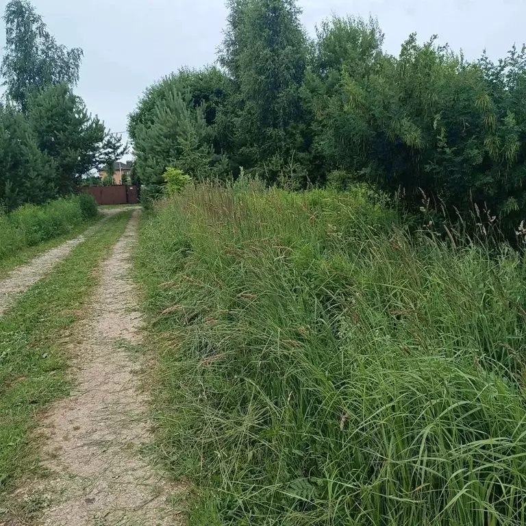 Участок в Московская область, Серпухов городской округ, с. Липицы  ... - Фото 1