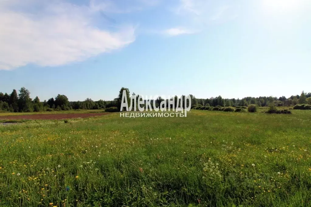 Участок в Ленинградская область, Выборгский район, Советское городское ... - Фото 2