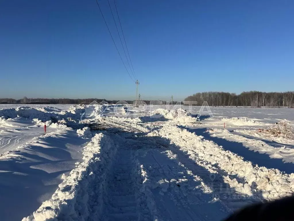 Участок в Тюменская область, Тюменский район, с. Горьковка Сибирская ... - Фото 0