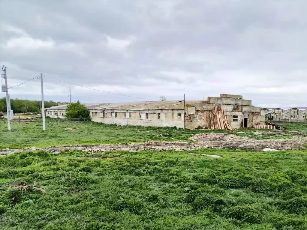 Помещение свободного назначения в Тамбовская область, Тамбовский ... - Фото 1