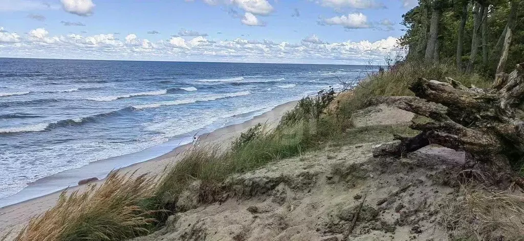 Участок в Калининградская область, Зеленоградский муниципальный округ, ... - Фото 2