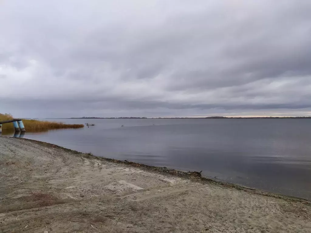 Участок в Саратовская область, с. Синенькие ул. Рабочая (1.7 сот.) - Фото 0