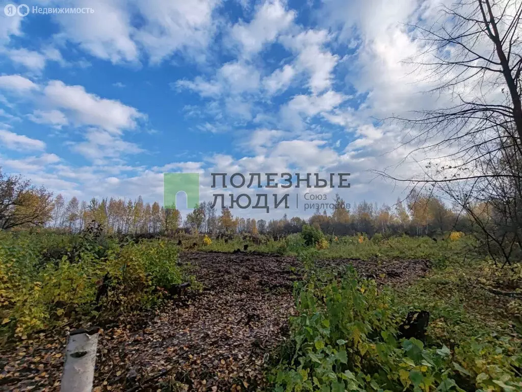 Участок в Орловский муниципальный округ, посёлок Садовый (25 м) - Фото 1