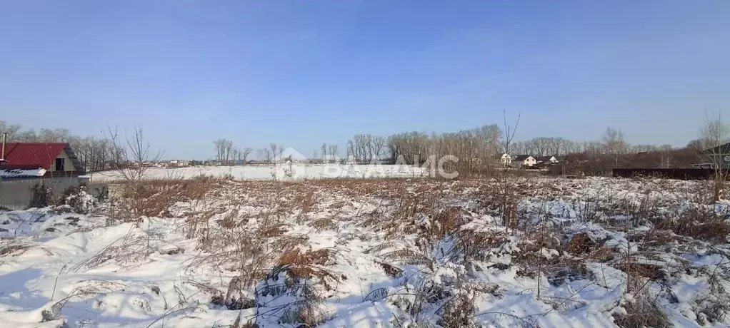 Участок в Алтайский край, Бийский район, пос. Пригородный Новая ул. ... - Фото 2