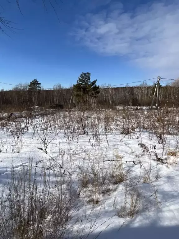 Участок в Амурская область, Благовещенск Азимут СТ,  (7.84 сот.) - Фото 2