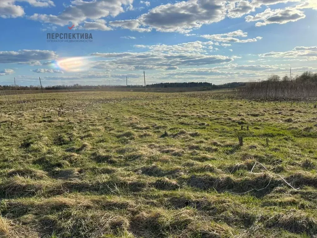 Купить Дачу В Еглизи Тосненского Района