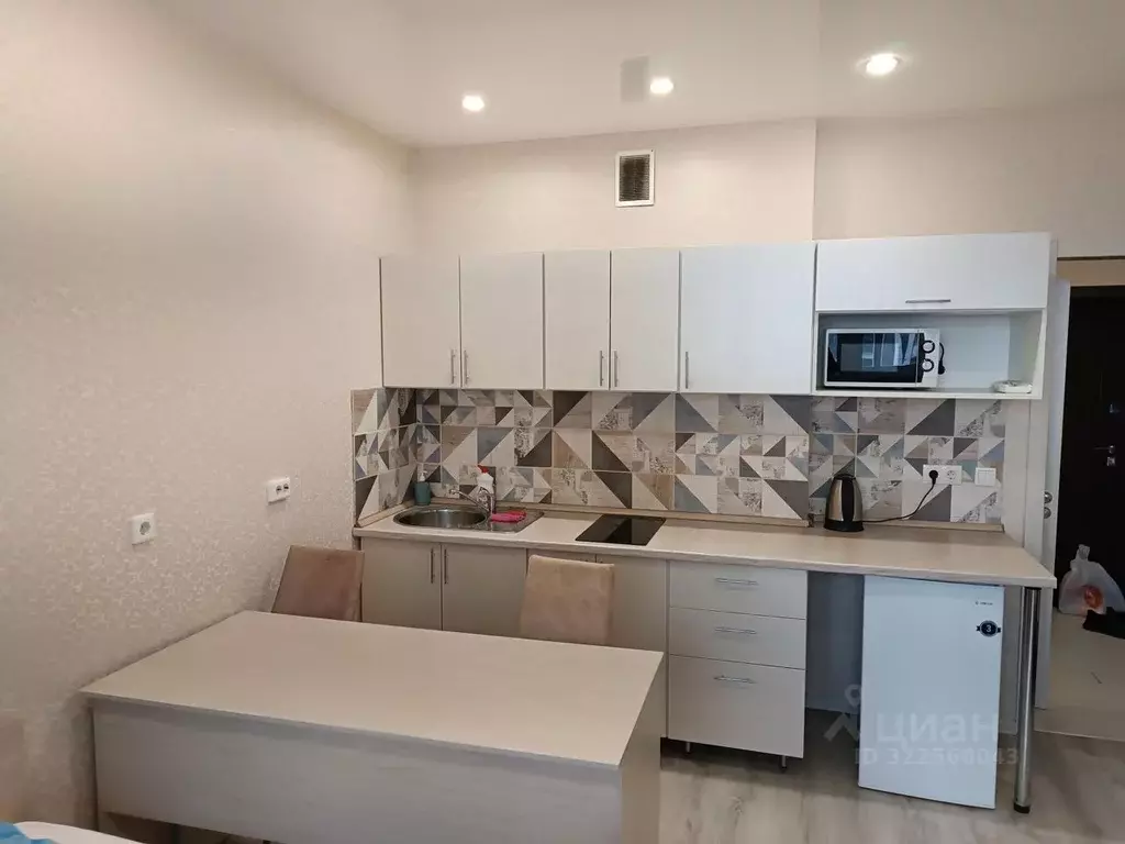 1-к кв. Новосибирская область, Новосибирск ул. Немировича-Данченко, ... - Фото 2