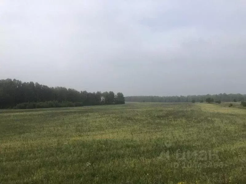 Снт Белоснежка Верхняя Пышма Купить