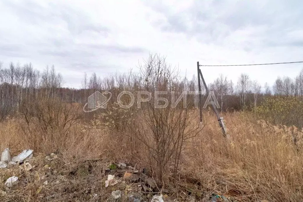 Участок в Тюменская область, Нижнетавдинский муниципальный округ, ... - Фото 2