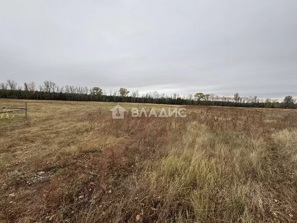Участок в Белгородская область, Старооскольский городской округ, с. ... - Фото 1