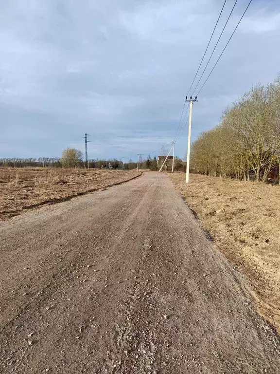 Участок в Ленинградская область, Гатчинский муниципальный округ, д. ... - Фото 1