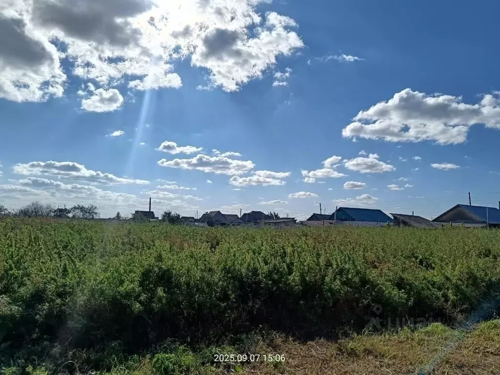 Участок в Курганская область, Щучанский муниципальный округ, с. ... - Фото 1