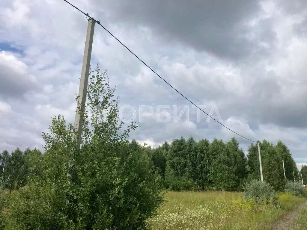 Участок в Тюменская область, Нижнетавдинский район, Царицыно СНТ  ... - Фото 1