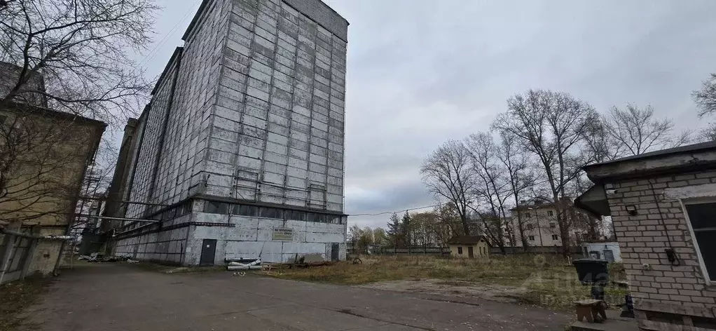 Склад в Вологодская область, Вологда Элеваторная ул., 19 (4000 м) - Фото 1