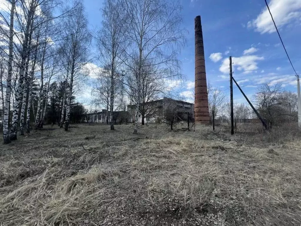 Производственное помещение в Рязанская область, Пителино рп  (4518 м) - Фото 1