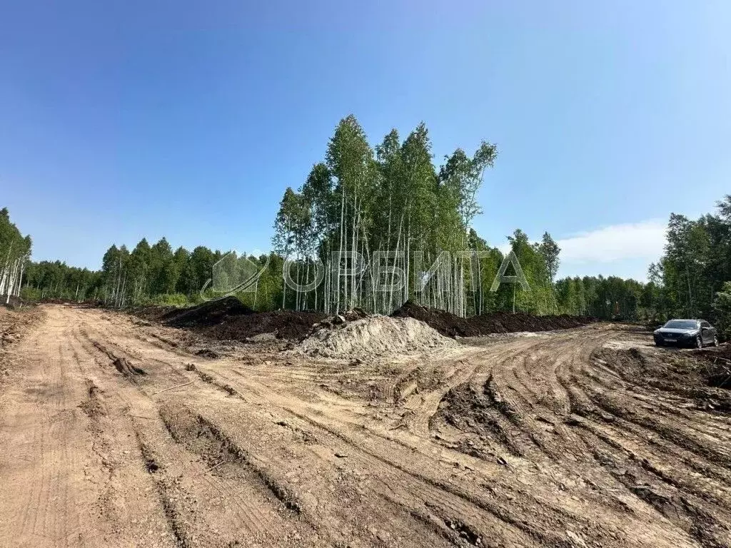 Участок в Тюменская область, Нижнетавдинский район, Строитель ТСН ул. ... - Фото 0