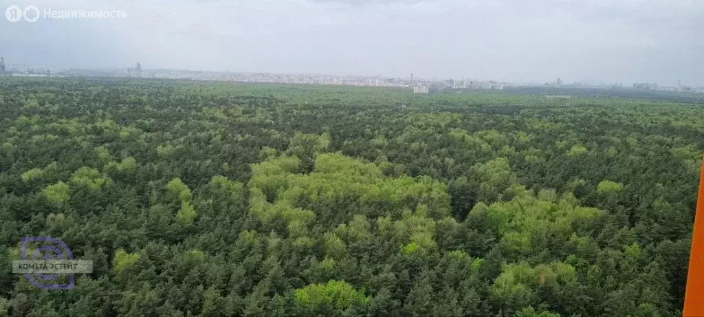 3-комнатная квартира: Котельники, Сосновая улица, 1к3 (73.6 м) - Фото 2