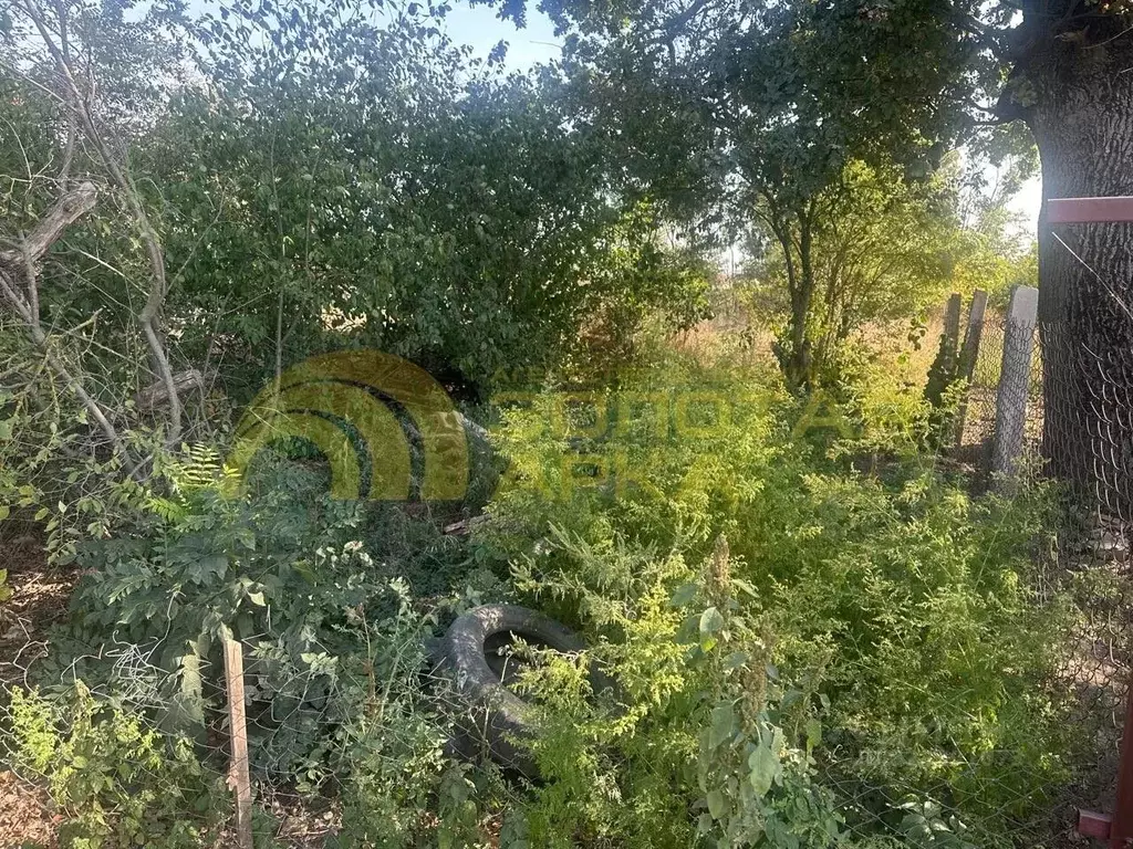 Участок в Краснодарский край, Красноармейский район, Полтавская ст-ца ... - Фото 2