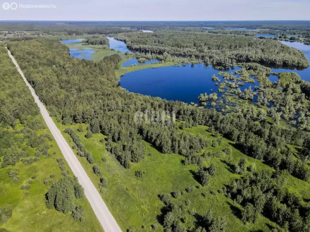 Участок в Нижнетавдинский район, село Андрюшино (7.8 м) - Фото 1