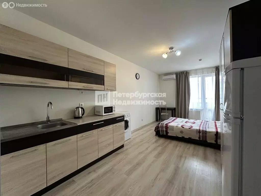 Квартира-студия: посёлок Шушары, Старорусский проспект, 13к1 (23.8 м) - Фото 1