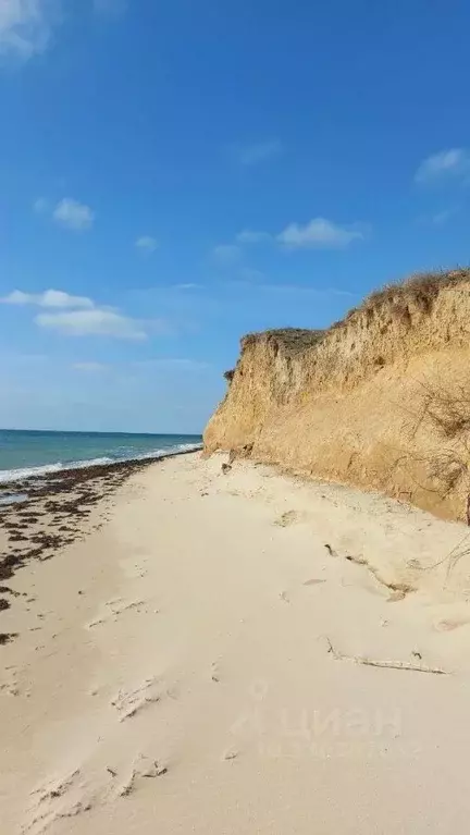 Участок в Крым, Черноморский район, Новоивановское с/пос  (2.6 га.) - Фото 2