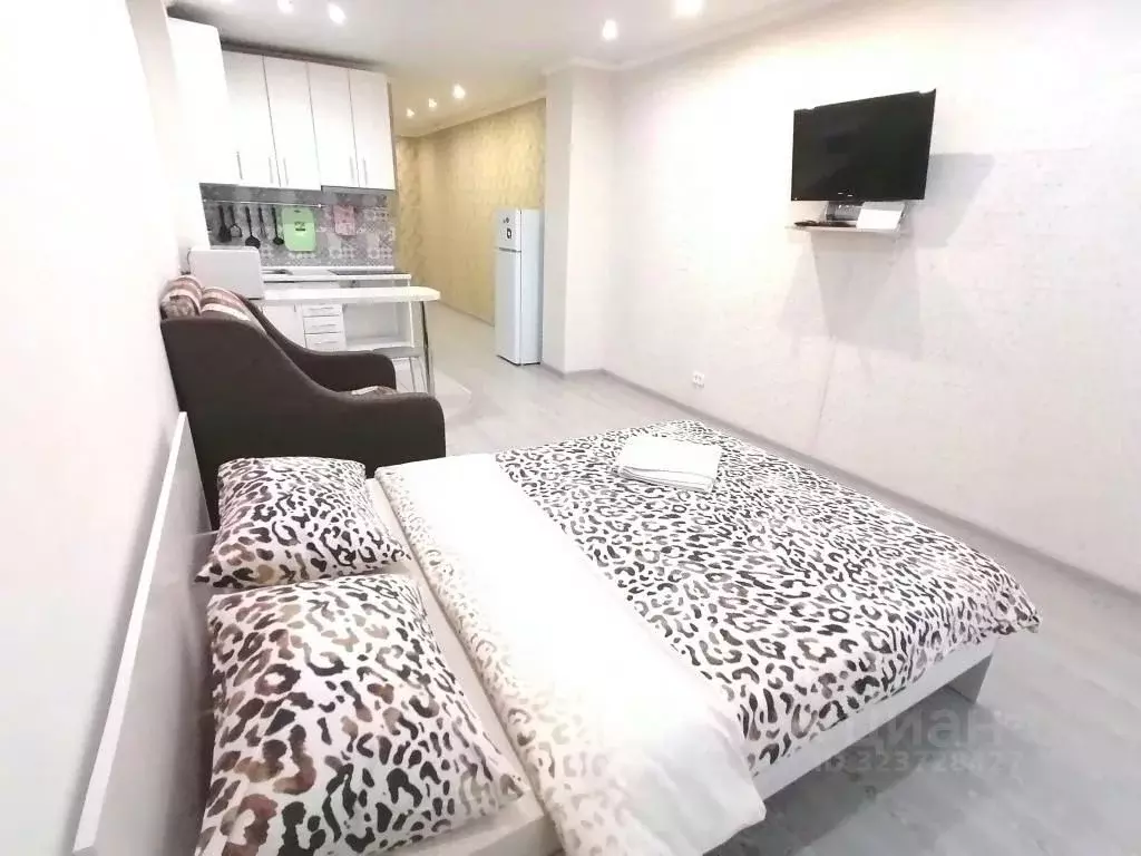 1-к кв. Алтайский край, Барнаул ул. Никитина, 107 (32.0 м) - Фото 2