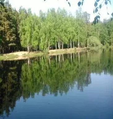 Квартира, 2 комнаты, 45 м - Фото 1