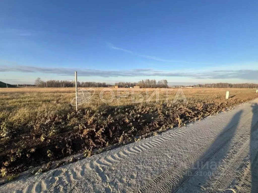 Участок в Тюменская область, Тюменский район, с. Перевалово ул. Дачная ... - Фото 1