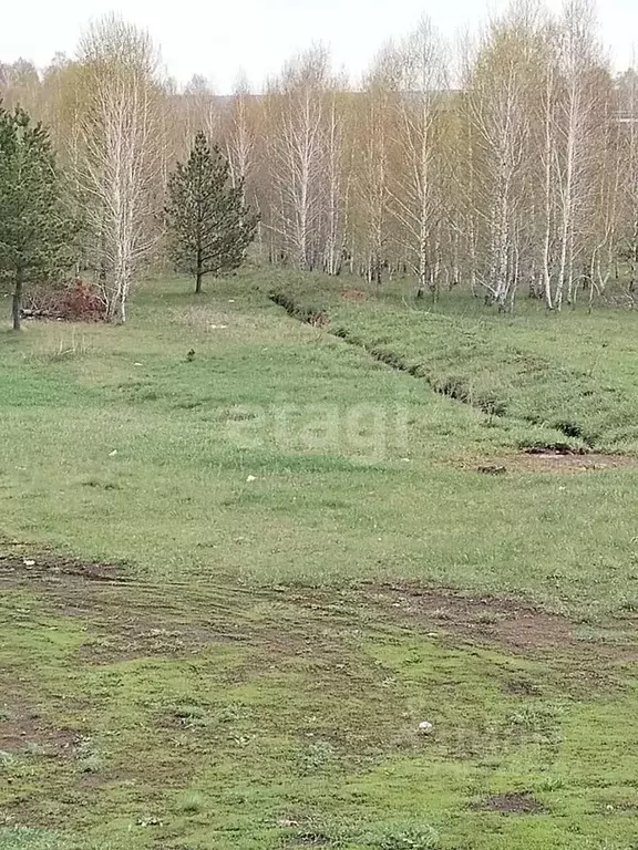 Участок в Свердловская область, Режевской городской округ, д. Сохарево ... - Фото 1