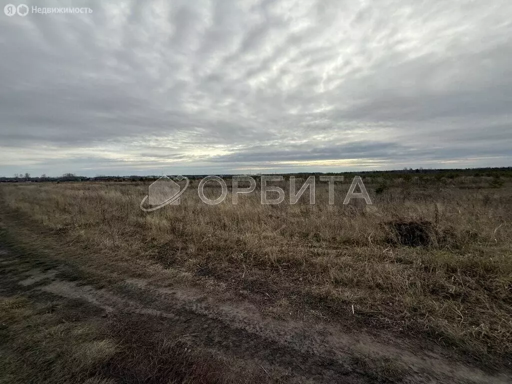 Участок в Тюменский муниципальный округ, деревня Речкина (600 м) - Фото 2