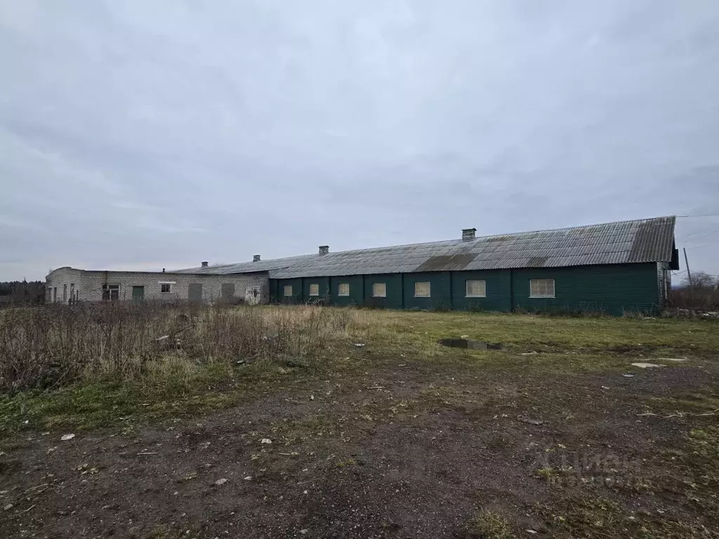 Производственное помещение в Пермский край, Добрянский муниципальный ... - Фото 2