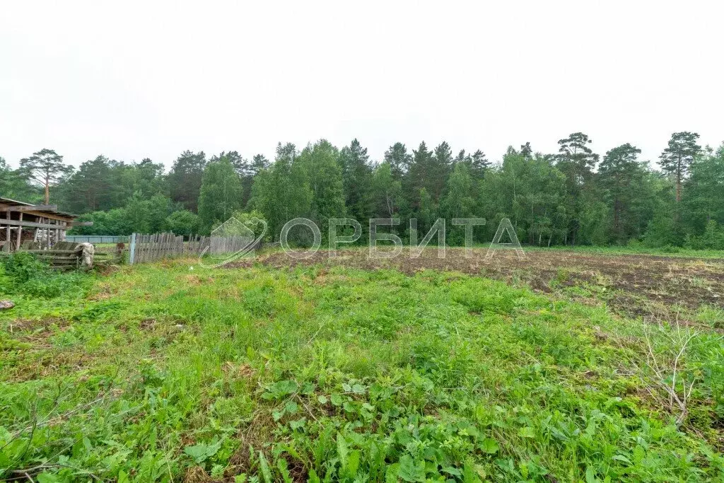 Дом в село Бухтал, Лесная улица, 12 (37.4 м) - Фото 0