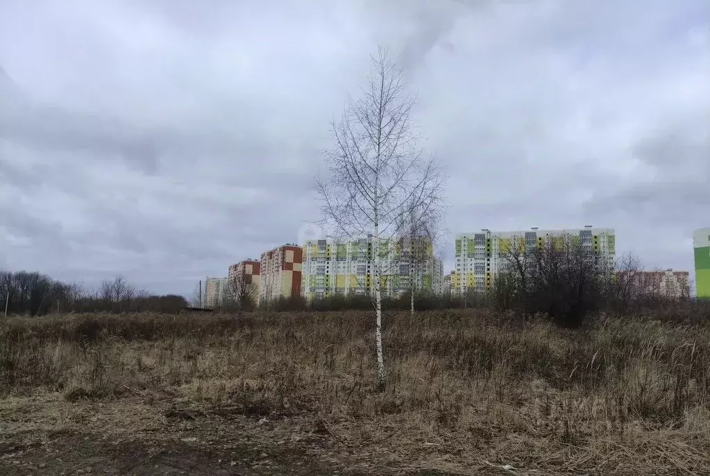 Участок в Курская область, Курск Красная Звезда СНТ, ул. 1-я Линия, ... - Фото 2