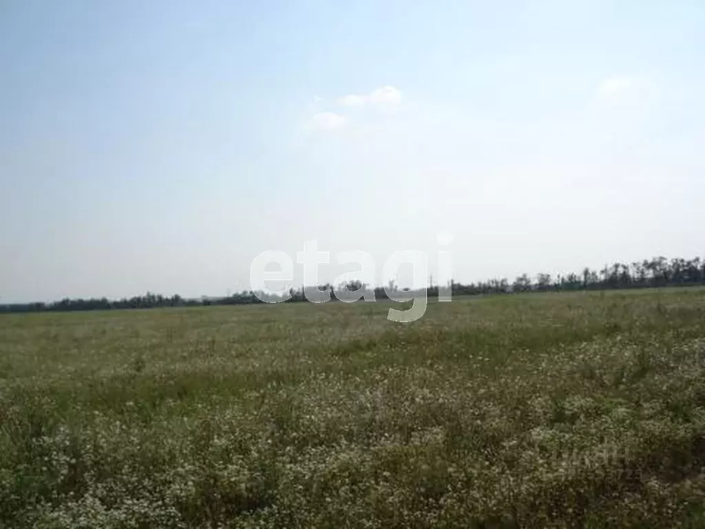 Участок в Курганская область, Кетовский муниципальный округ, с. ... - Фото 1