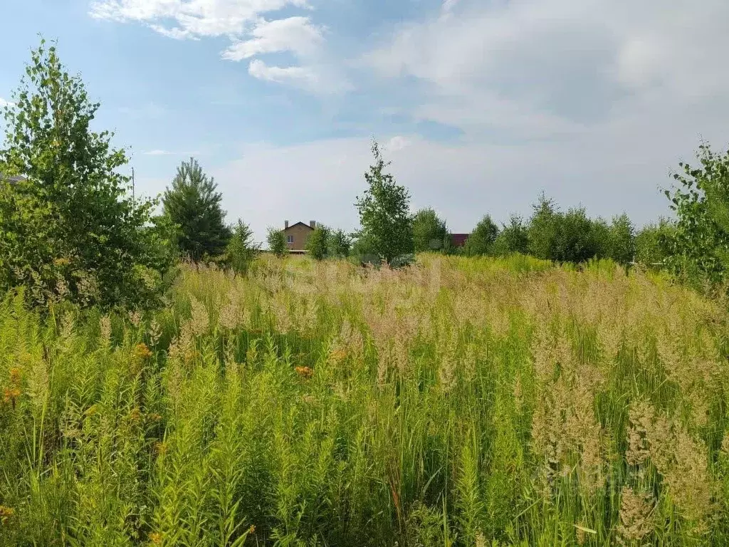 Участок в Нижегородская область, Богородский муниципальный округ, с. ... - Фото 0