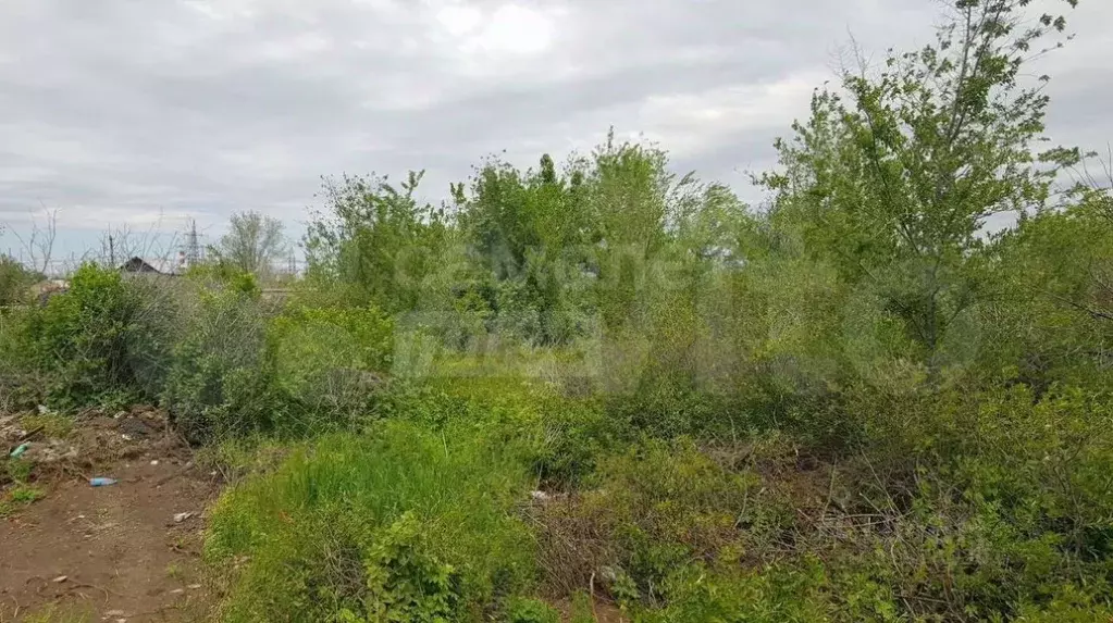 Участок в Оренбургская область, Оренбургский район, Весенний ... - Фото 0