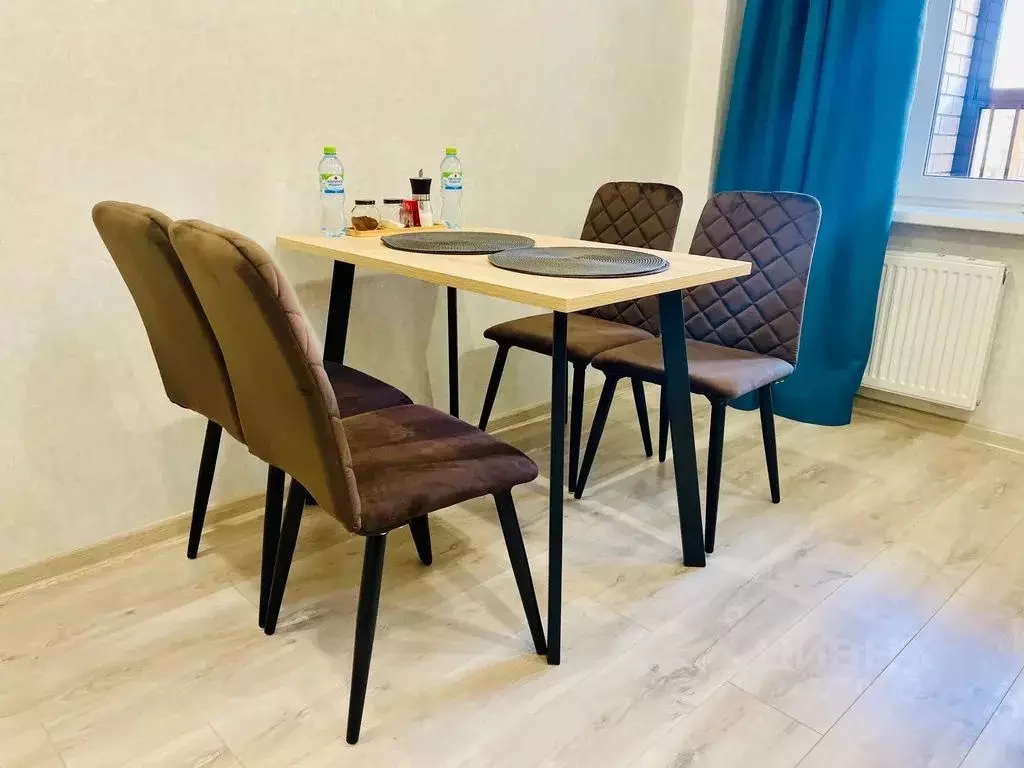 1-к кв. Псковская область, Псковский район, Завеличенская волость, д. ... - Фото 2