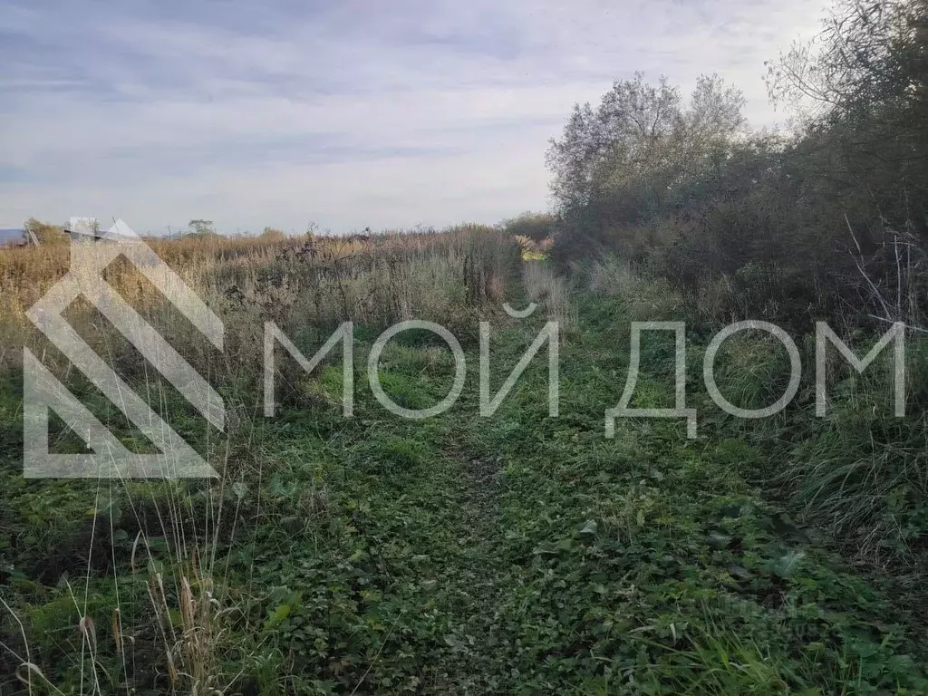 Участок в Сахалинская область, Долинск Южный пер. (14.0 сот.) - Фото 1