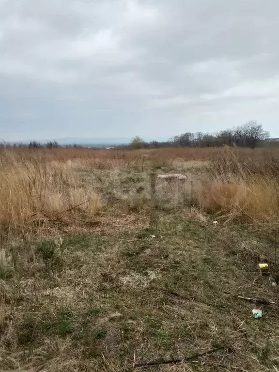 Участок 6 сот. (СНТ, ДНП) - Фото 0