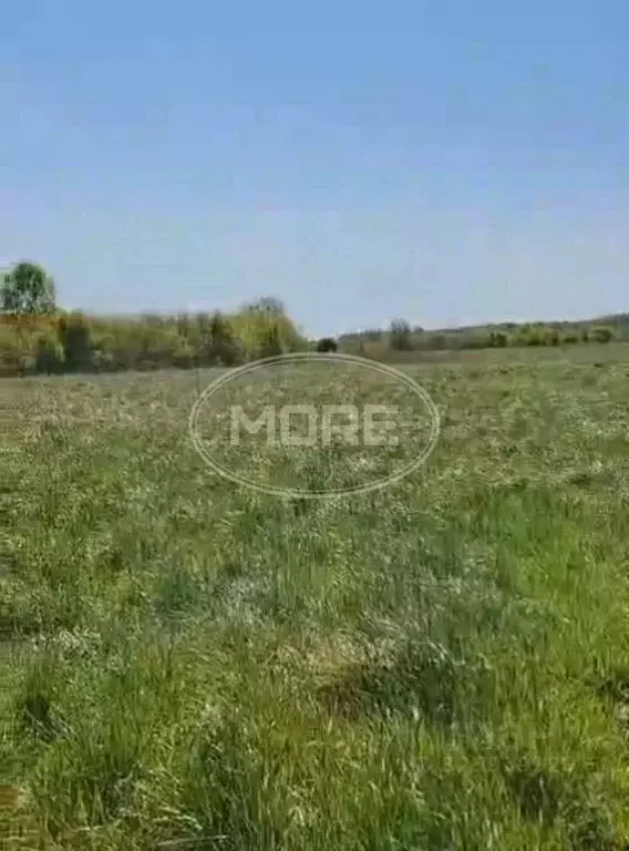 Участок в Калининградская область, Гурьевский муниципальный округ, ... - Фото 2