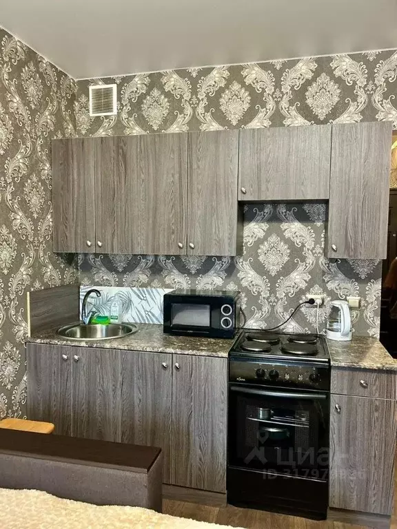 Студия Санкт-Петербург пос. Шушары, Ленсоветовский тер., 31 (24.0 м) - Фото 1