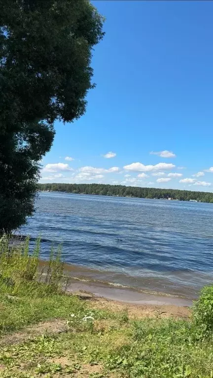Участок в Московская область, Мытищи городской округ, д. Терпигорьево, ... - Фото 1