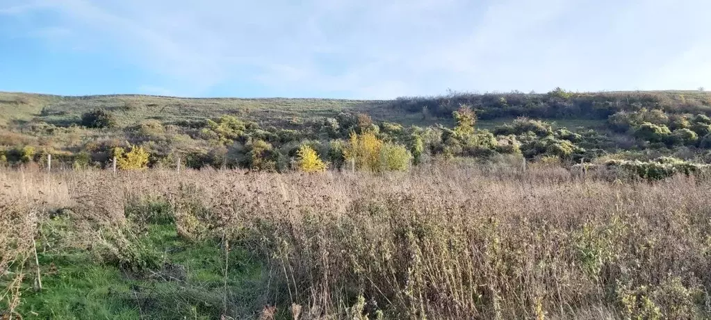 Участок в Крым, Кировский район, Первомайское с/пос, с. Изюмовка ул. ... - Фото 1