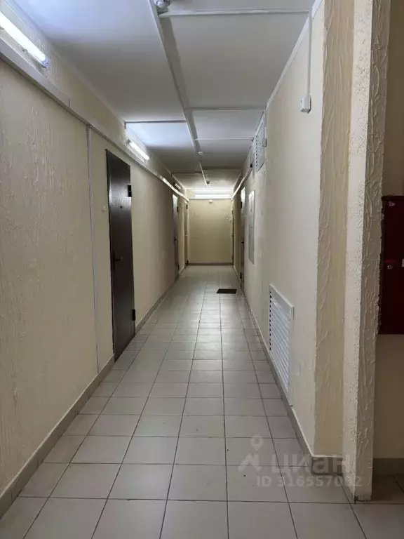 Студия Красноярский край, Красноярск Лесопарковая ул., 49 (17.0 м) - Фото 1