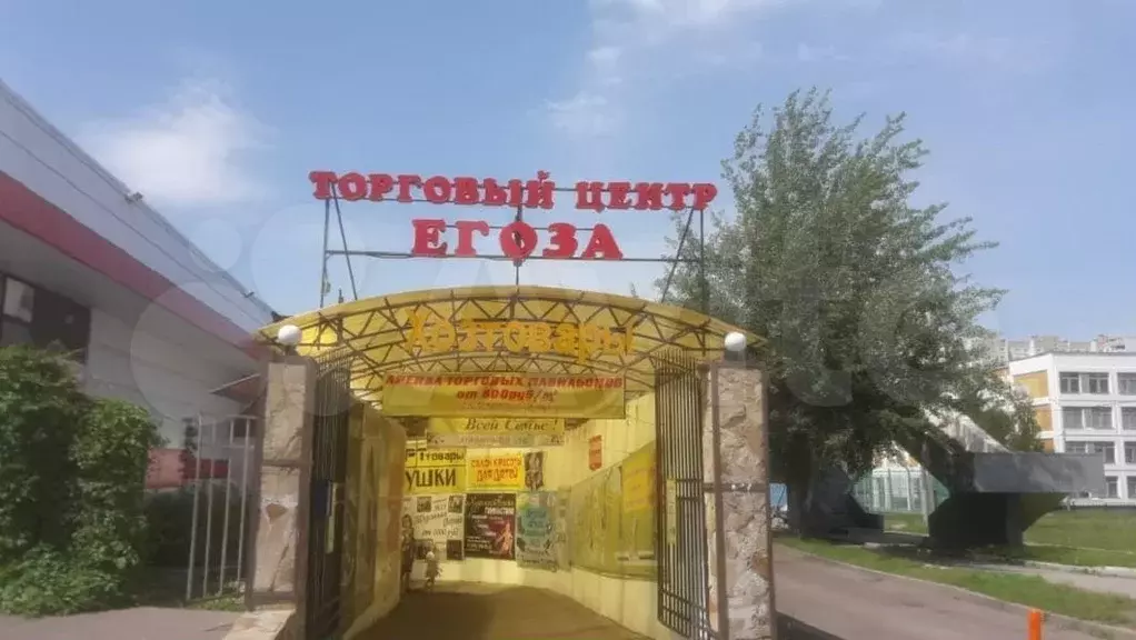 Свободного назначения, 31.5 м - Фото 1