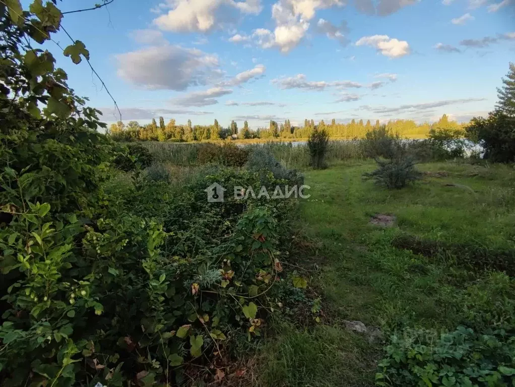Участок в Воронежская область, Семилукский район, Стрелицкое городское ... - Фото 0