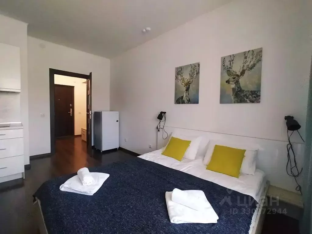 1-к кв. Санкт-Петербург дор. Торфяная, 15к3 (23.0 м) - Фото 1