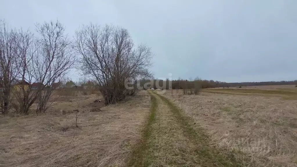 Участок в Архангельская область, Котласский муниципальный округ, д. ... - Фото 1