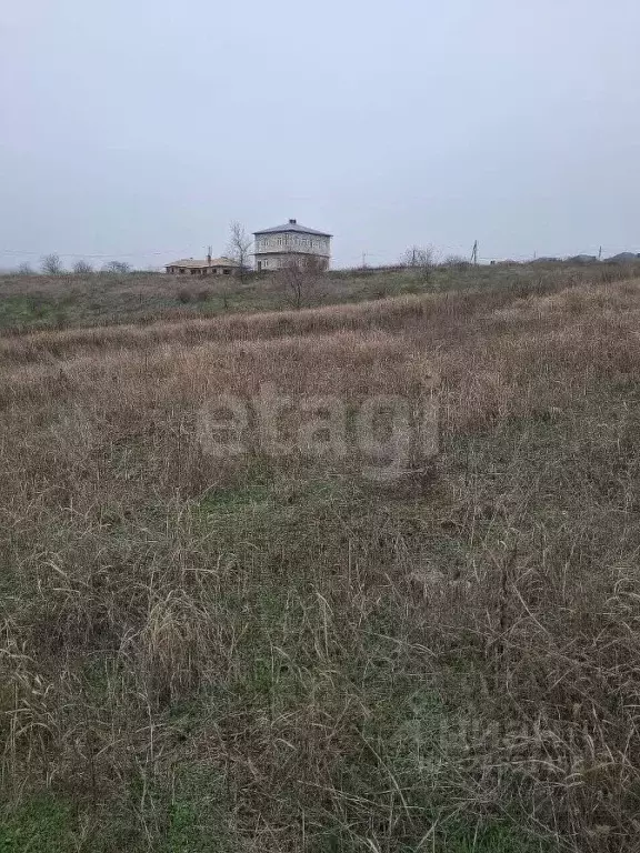 Участок в Ростовская область, Аксайский район, Большой Лог хут. ул. ... - Фото 1